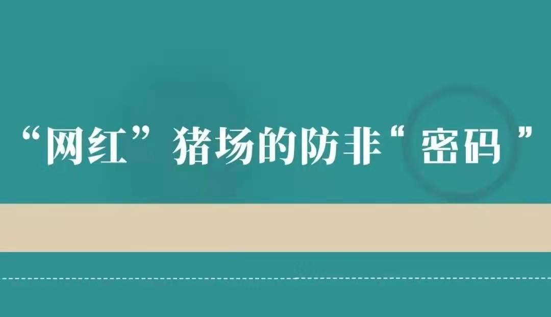 1633944102249326.jpg 536b1da427c9d67c7d95ea44a97e134.jpg