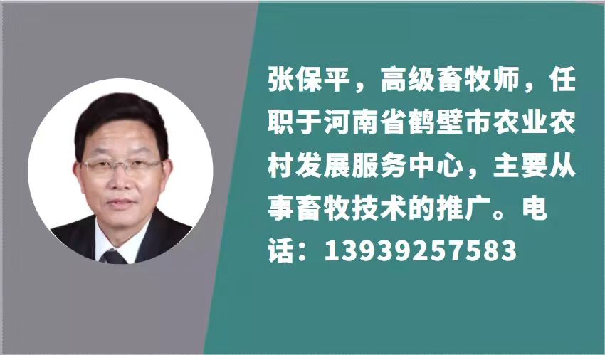 1633944121312380.jpg ebf0c1845ebbb3c07a2d60286b59373.jpg