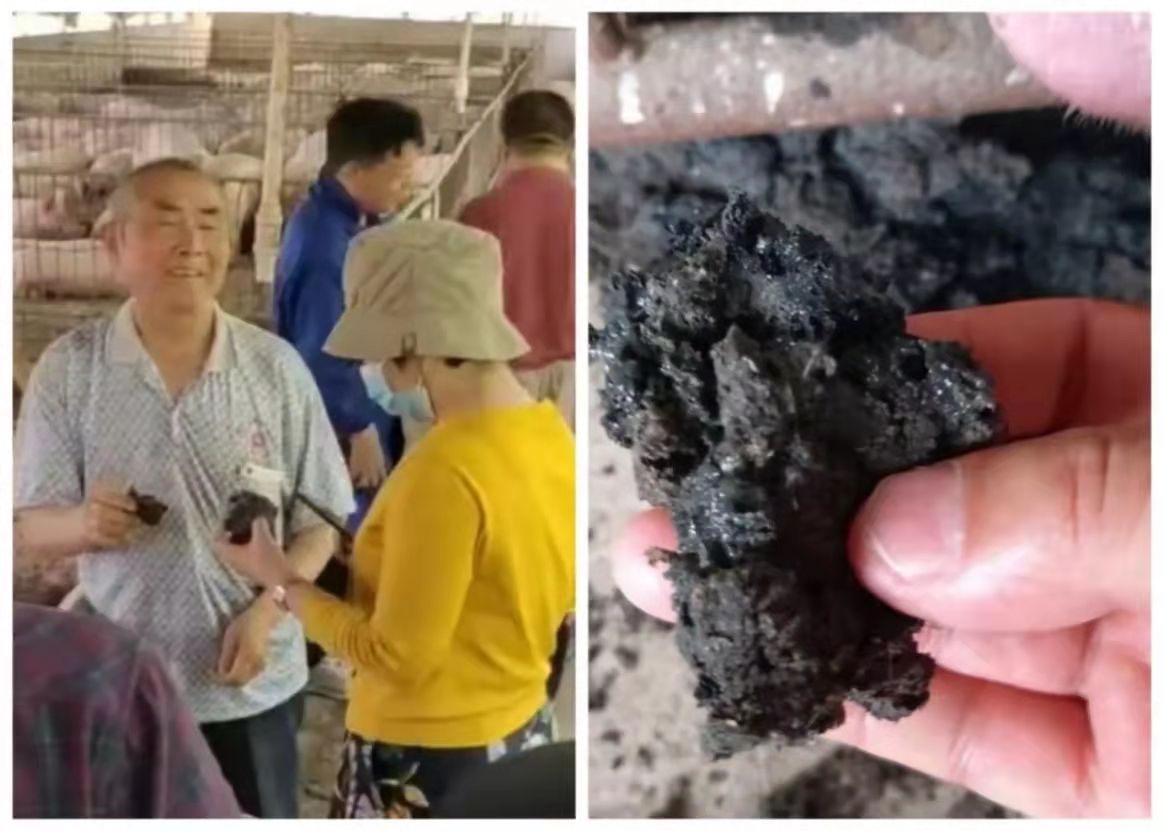 1633944155157245.jpg 8156e5ae3d3b7043fea43b2ad178b15.jpg