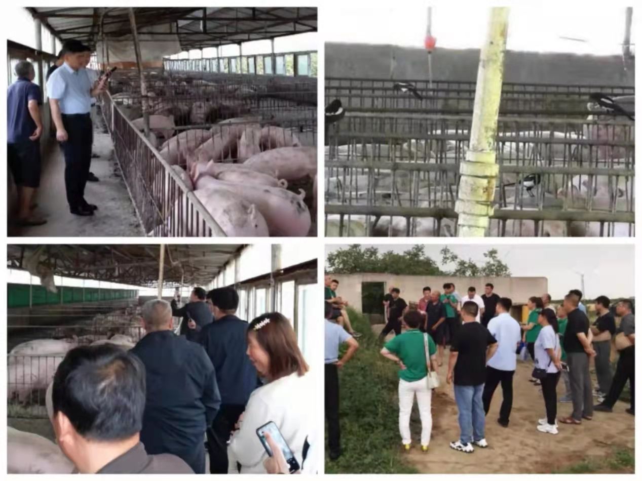 1633944785355755.jpg dd5459b3ce57696360fd1ff26932397.jpg